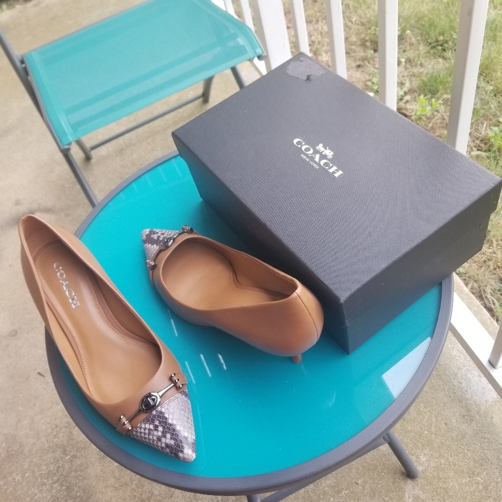 Coach kitten Pumps - Picture 8 of 8